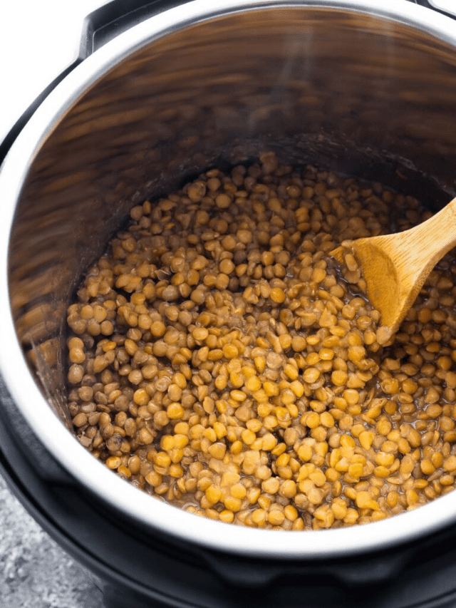 Lentil Stew (Large Tray)